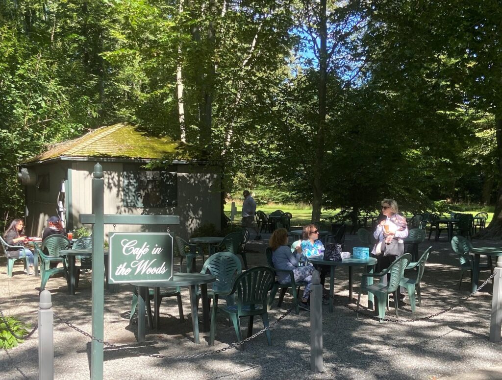Will Winchester Quartet ft. Emmy Irvine at Café in the Woods! (Extended Hours!)
