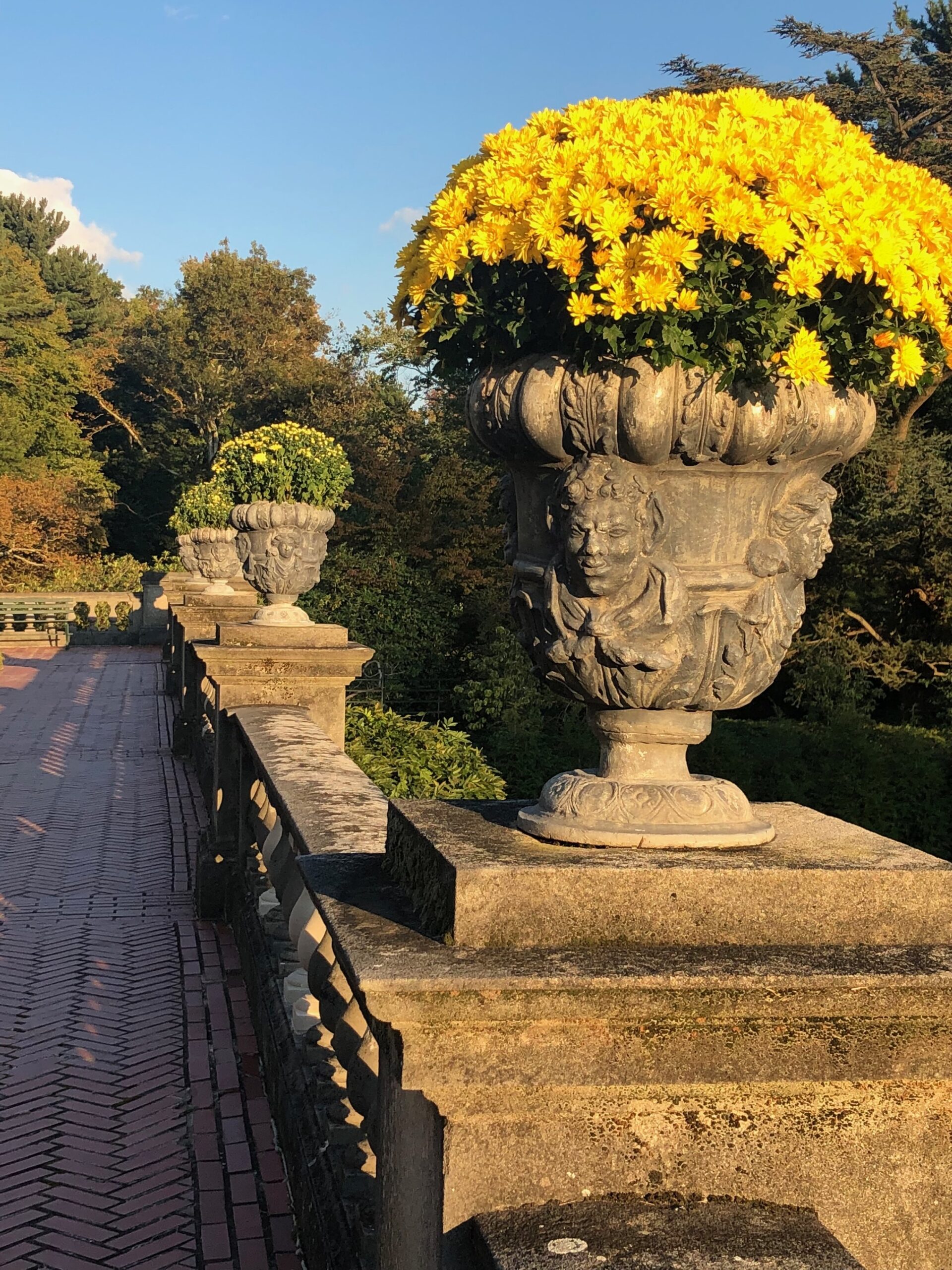 Looking down a stone wall with pillars that each have a stone urn filled with yellow flowers