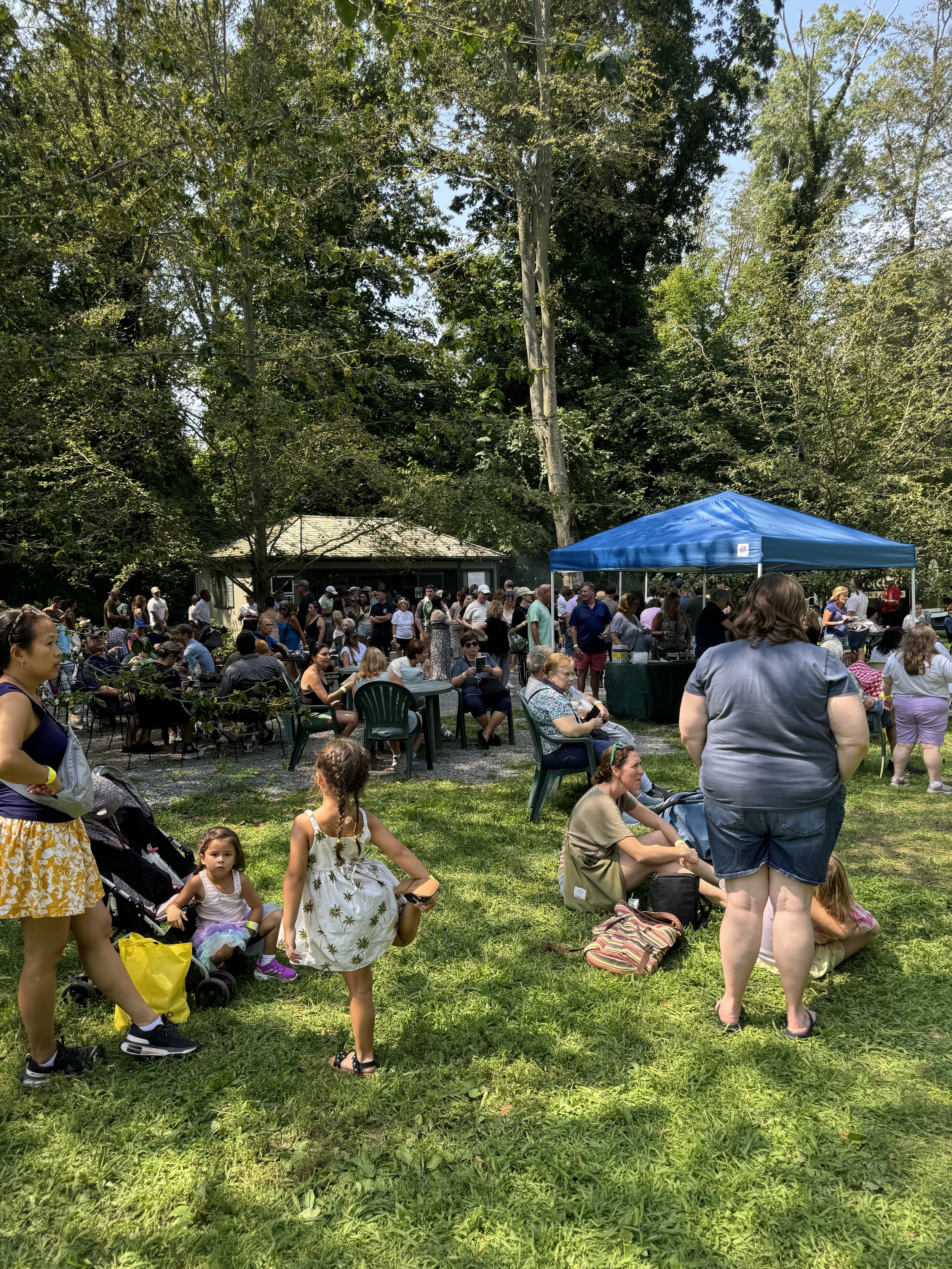 Food Trucks at Festival