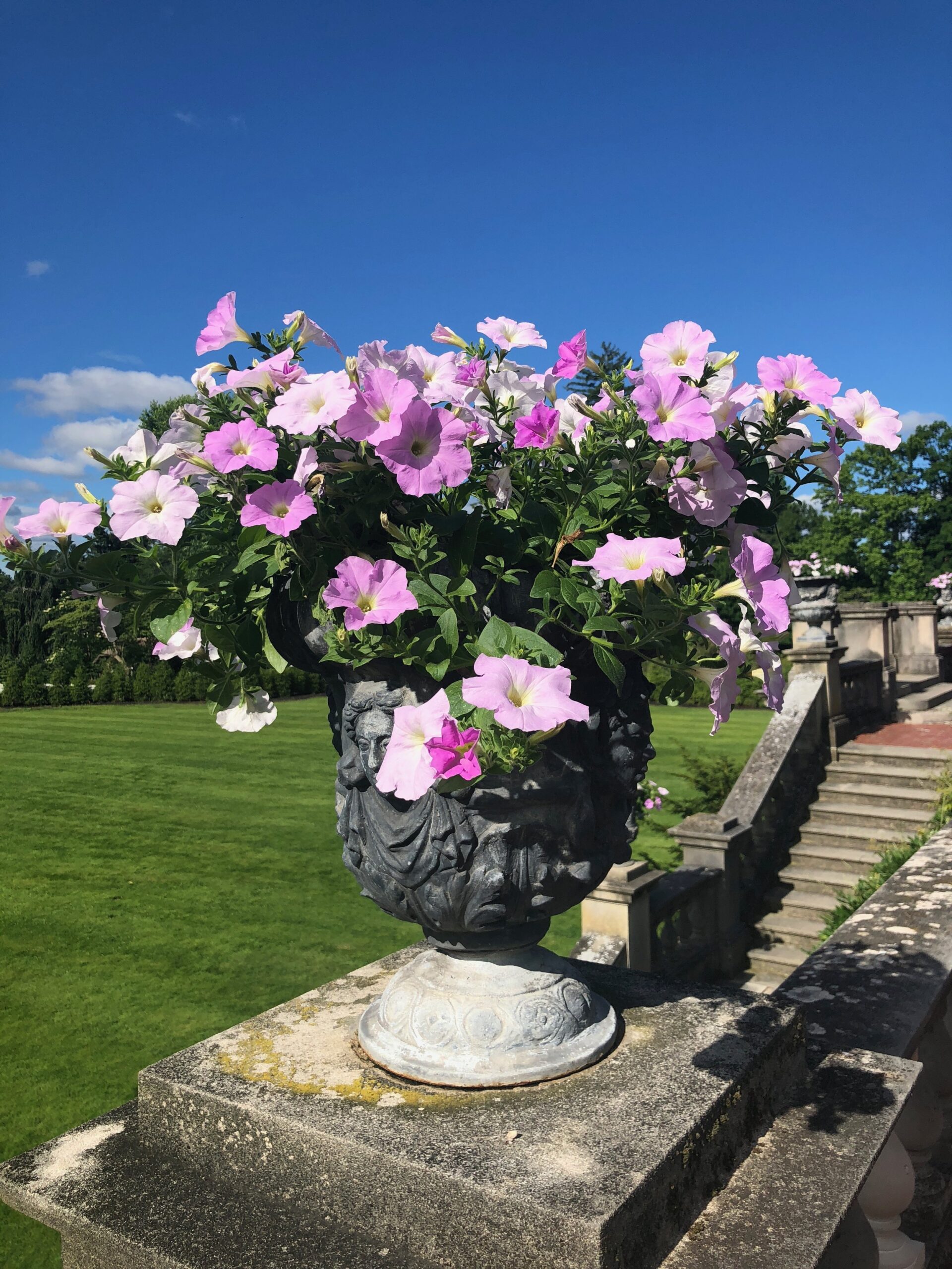 Stone urn with pink flowers inside sitting on a staircase column with a green lawn in the background