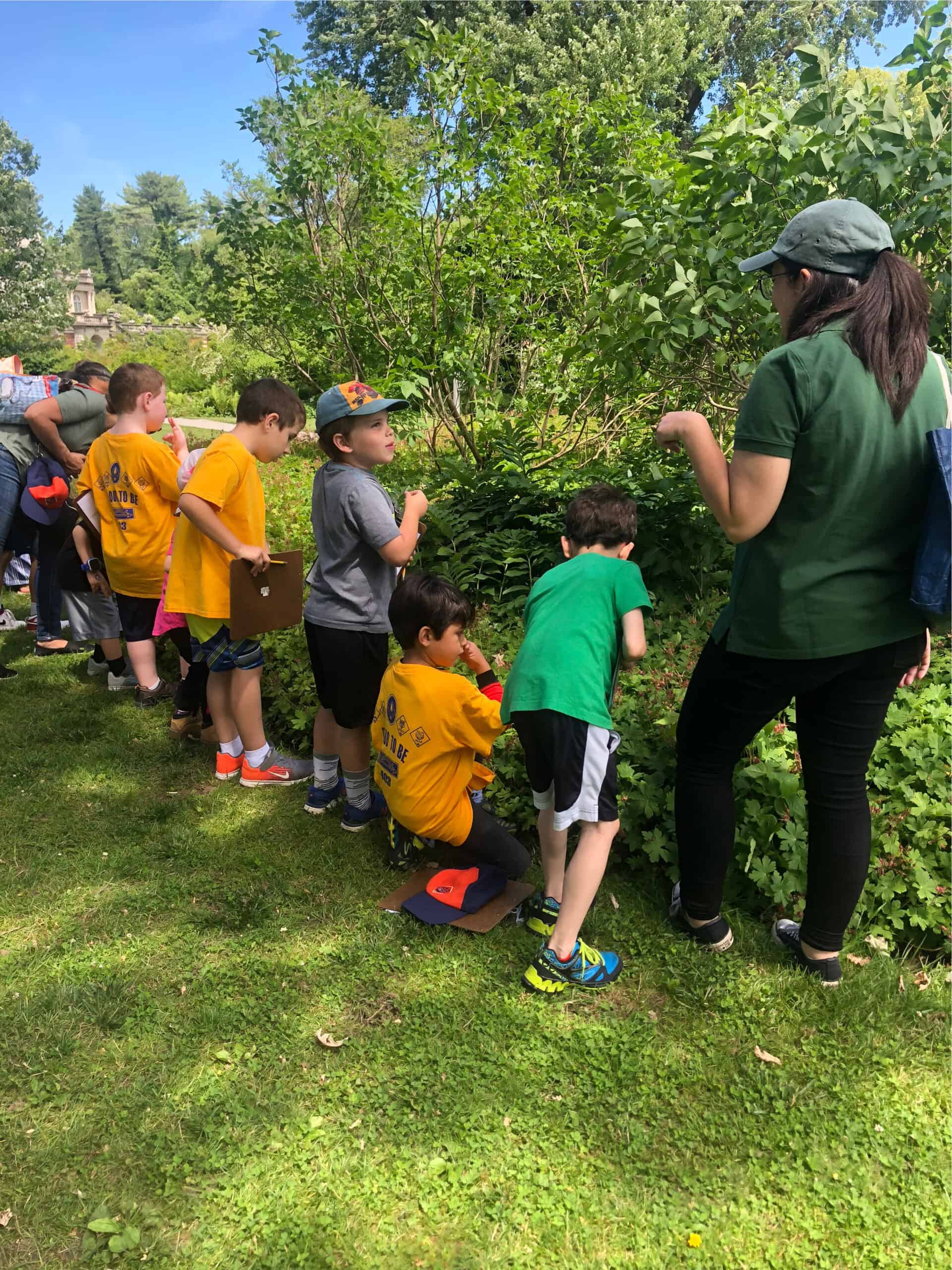 Tiger Scouts