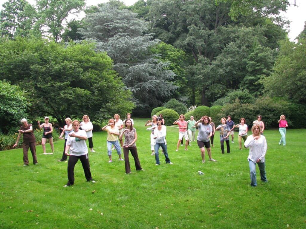 Tai Chi in Gardens