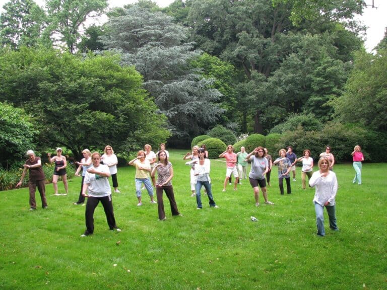 TAI CHI IN THE GARDENS