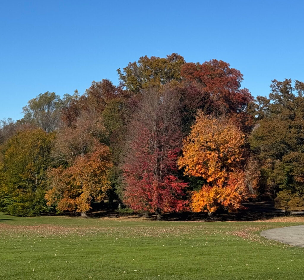 The Gardens are Open Today