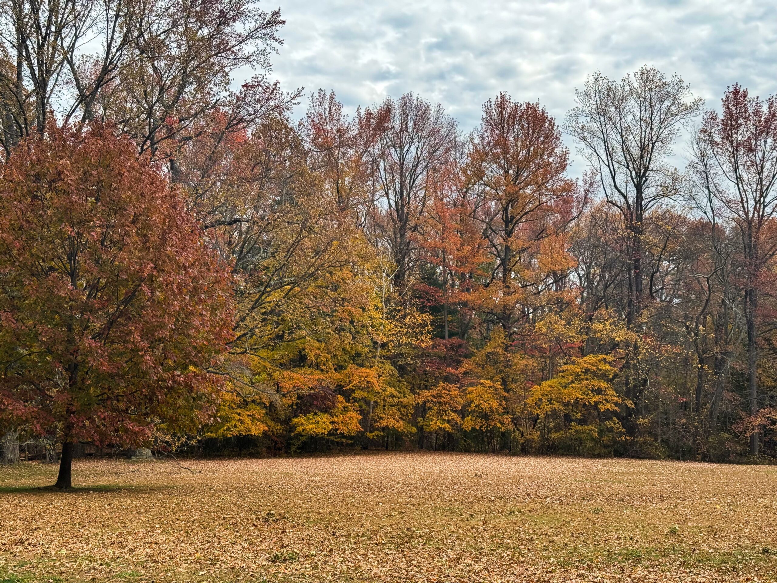 The Gardens are Open Today