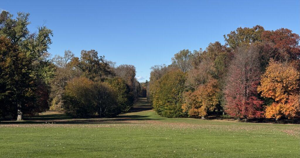The Gardens are Open Today | Westbury House is Closed