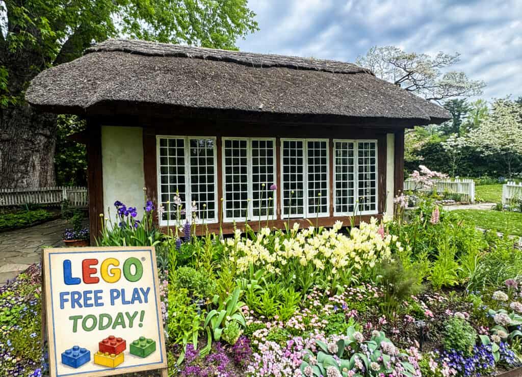LEGO Free Play in the Thatched Cottage!