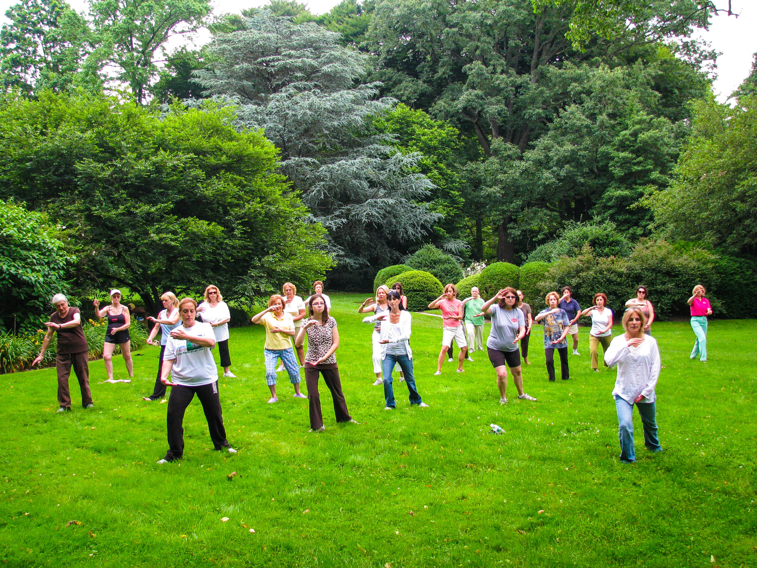 Tai Chi in the Gardens